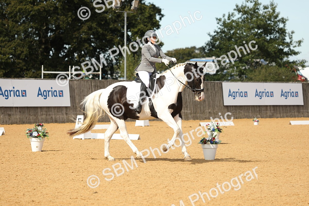 SBM_22237 - D17 - Grand Tour Championship - Novice 27