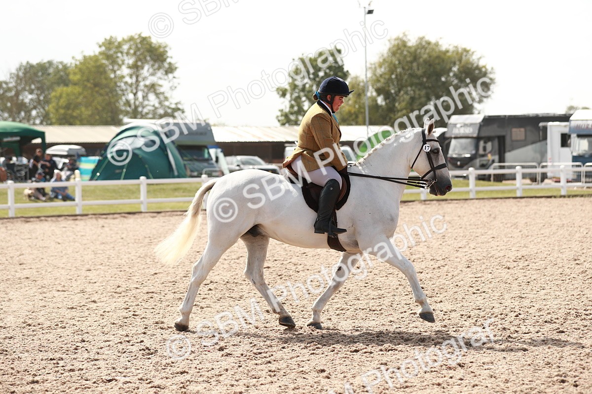 SBM_14845 - Class 212 Ridden Hunter - Small