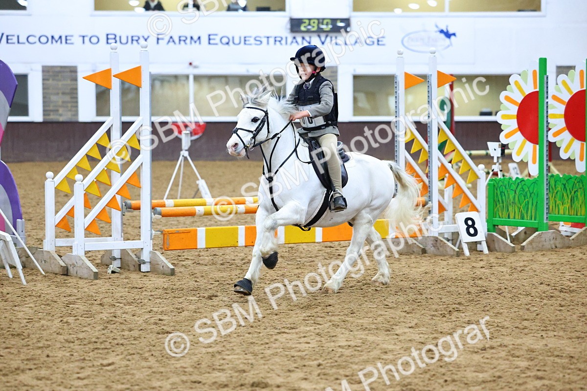 SBM_001432 - Class 3 - Christmas Tree Stakes - 60cm