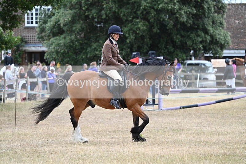 WJ7_0519 - Class 6 Ridden Mountain and Moorland