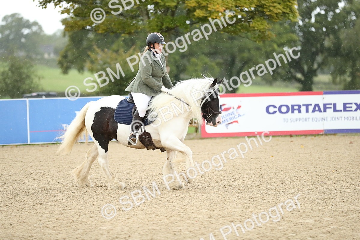SBM_00941 - J27 - Senior Horse & Pony 50cm Championships