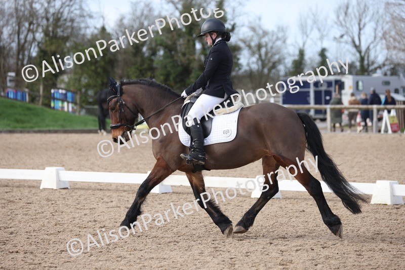 20260301-0836 - Class 5 - Elementary 4