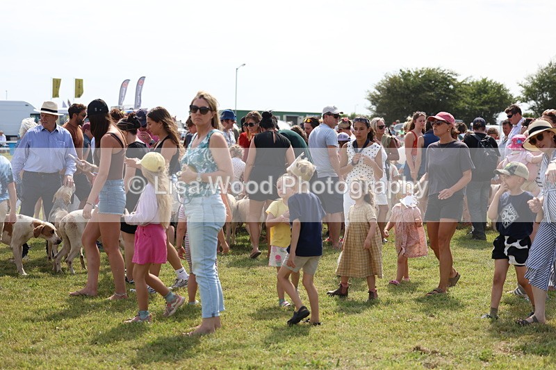 3E7A0205 - Parade of Hounds