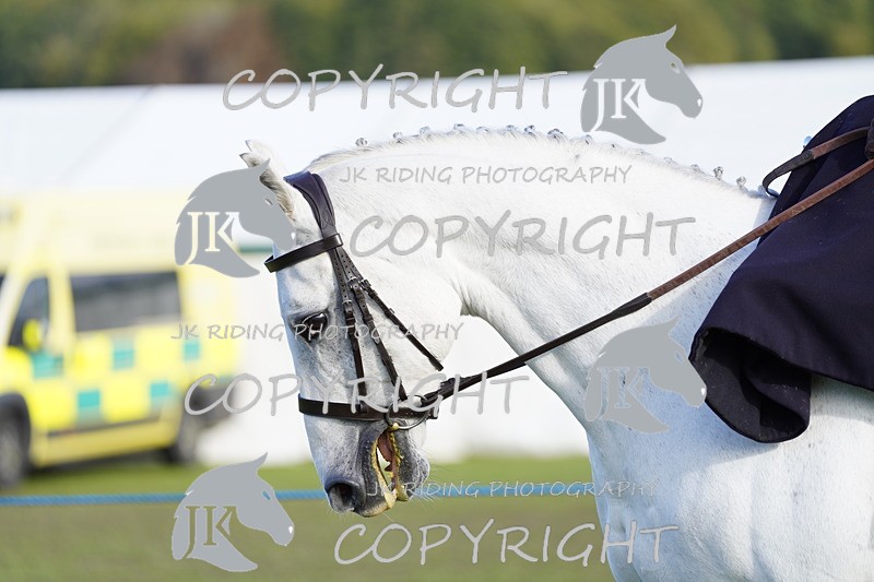 _DSC9387 - Class 8 & 17 Ridden Hunter & Ridden Hunter Pony