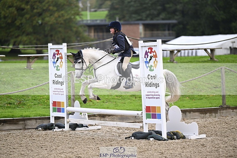 251005A-085203-02872 - Cls 02 GR 50cm