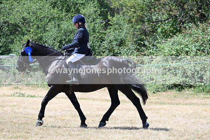 WJ7_3220 - Class 7 Riding Club Show Horse