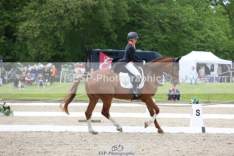 240523-150413-03015 - 233-SILVESTERS_FINESSE-Rosalind_Canter