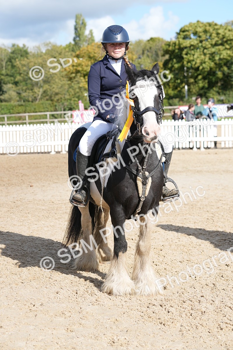 SBM_48623 - J7 - Junior Pony 60cm Championship