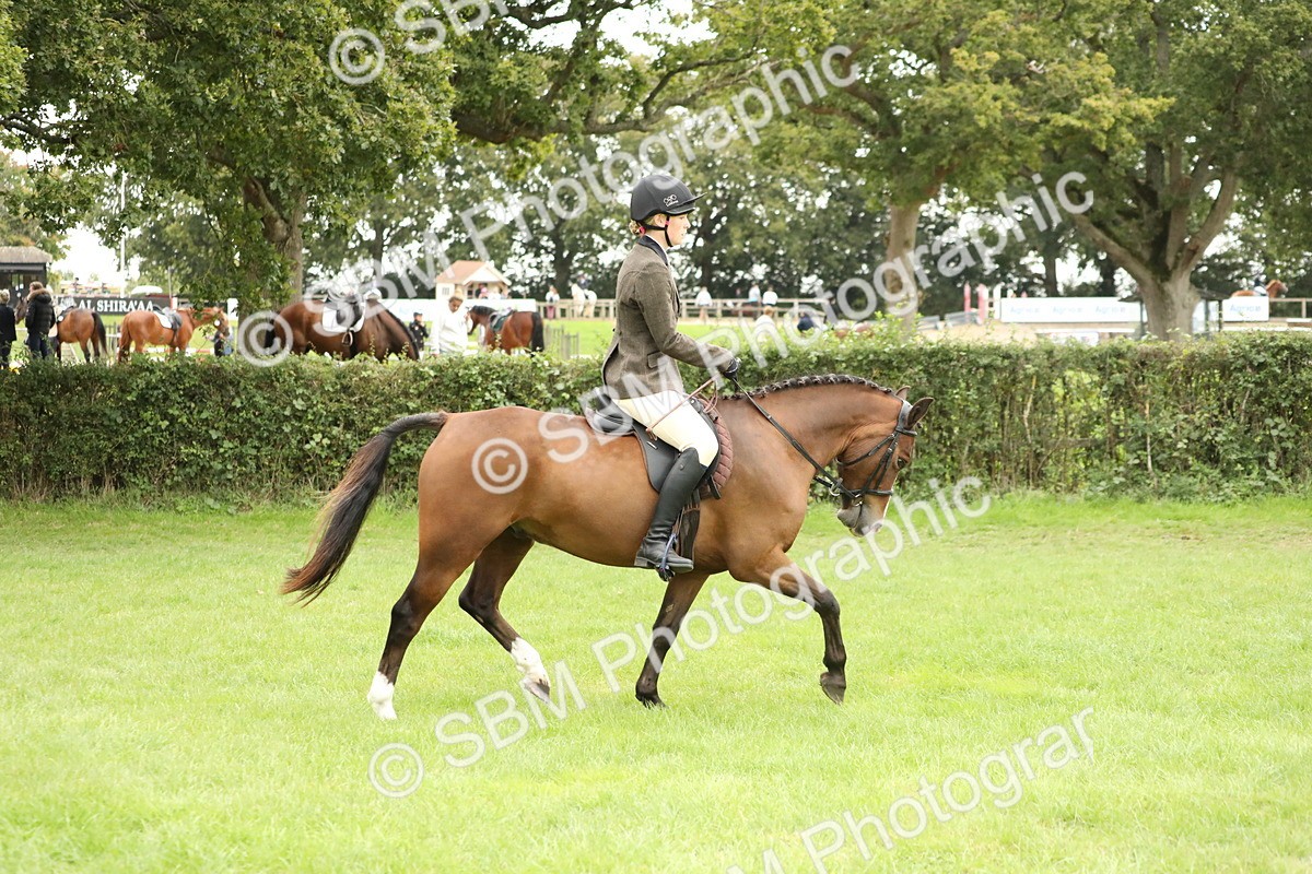 SBM_73684 - S41 - Ridden Equitation (Best Rider)