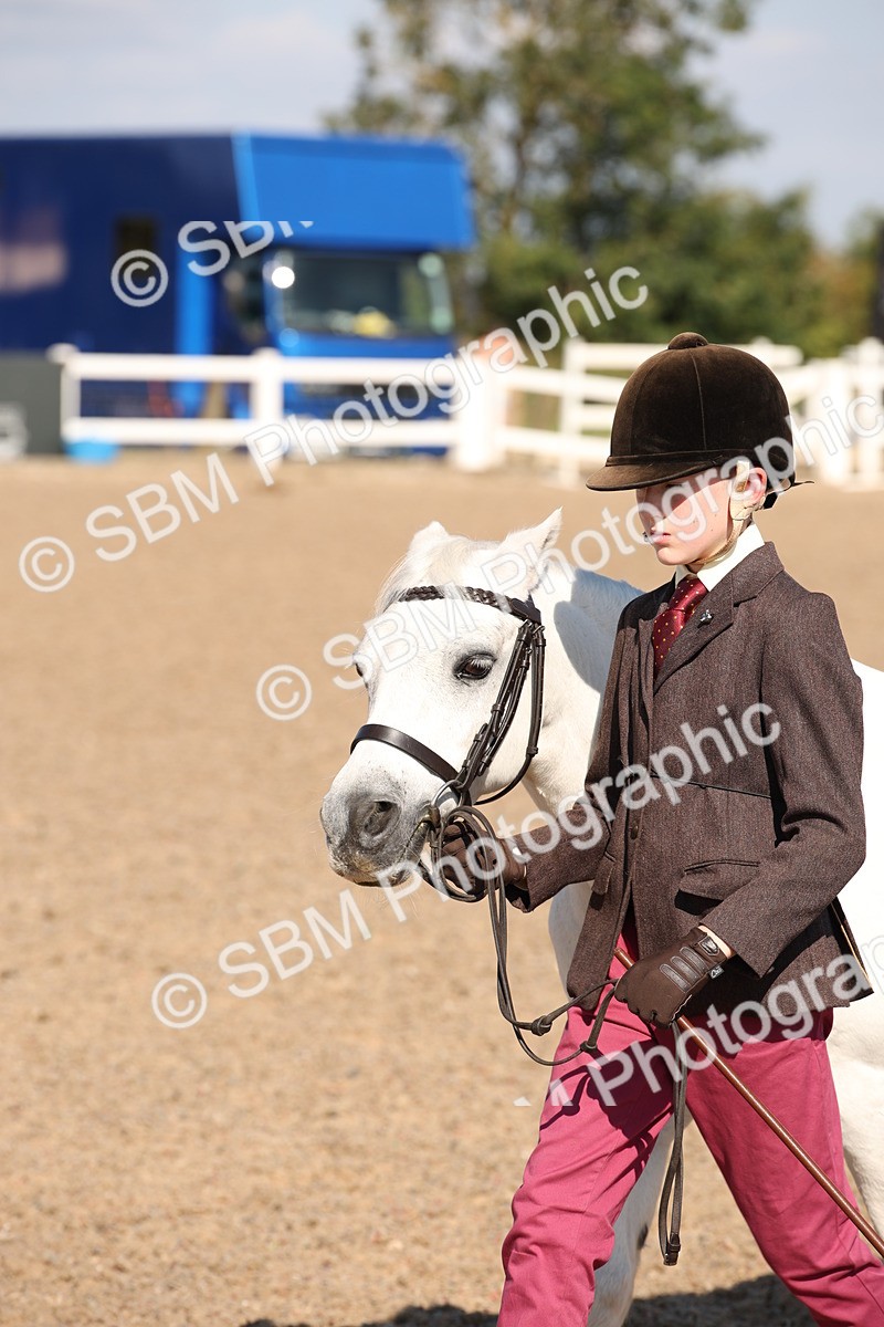 SBM_02717 - Class 16 IH M&M Wildcard