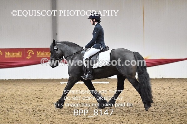 BPP_8147 - INTRO 1