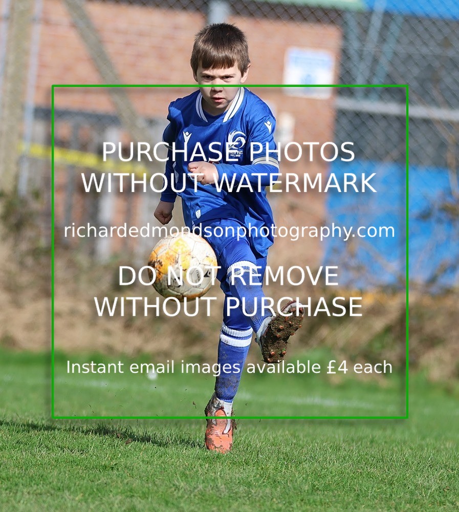 533A8201 - Ibis Under 8's (14/3/26)