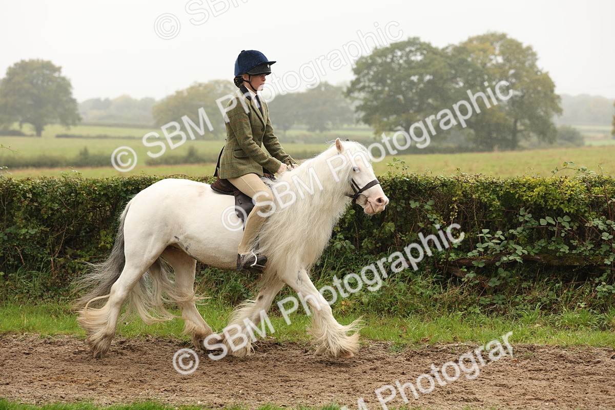 SBM_72699 - S70 - Traditional Cob Ridden