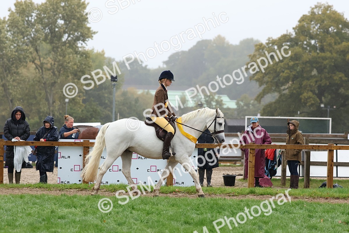 SBM_73117 - Ridden Pony Supreme Championship