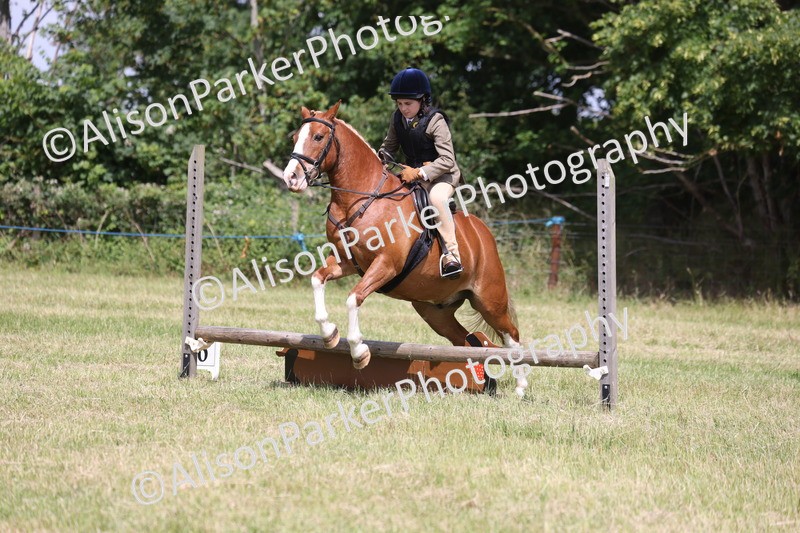 20260614-1933 - Class 21 - Novice Working Hunter Pony