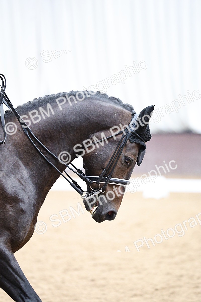 SBM_002305 - Class 10 - Medium 5