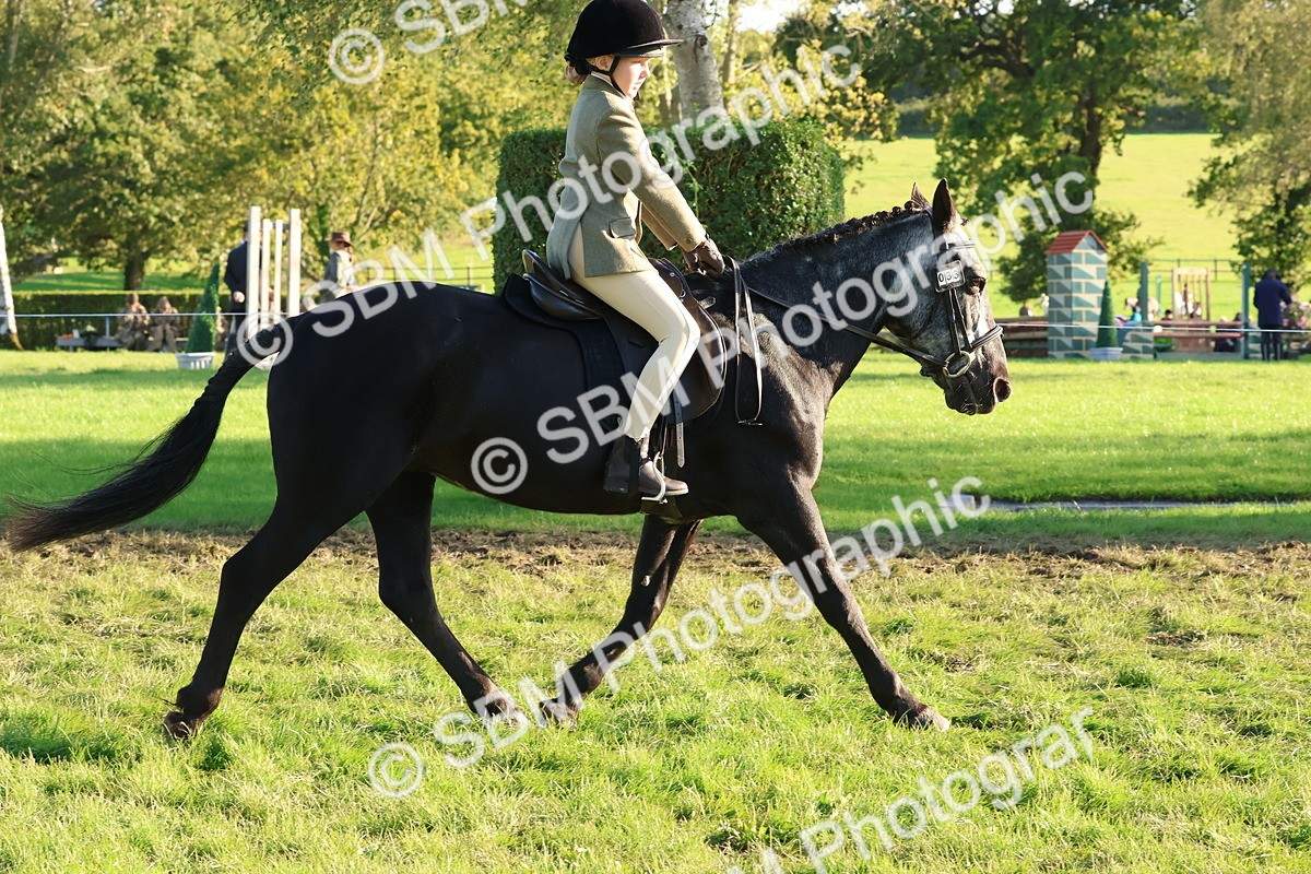 SBM_52993 - S29 - Mature Veteran Ridden