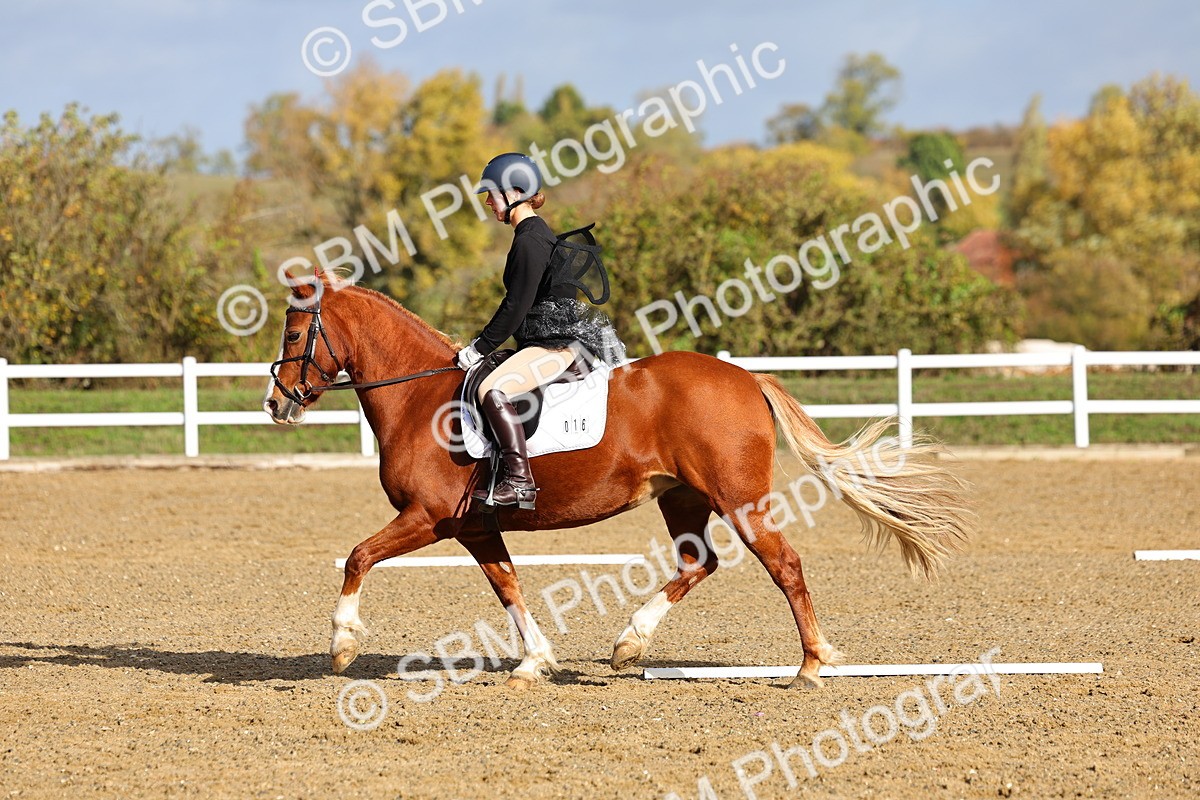 SBM_000873 - Class 4 - Intro 3