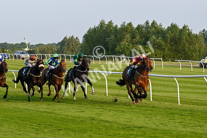 310524-Race 4-Albegone-8760 - Race 4