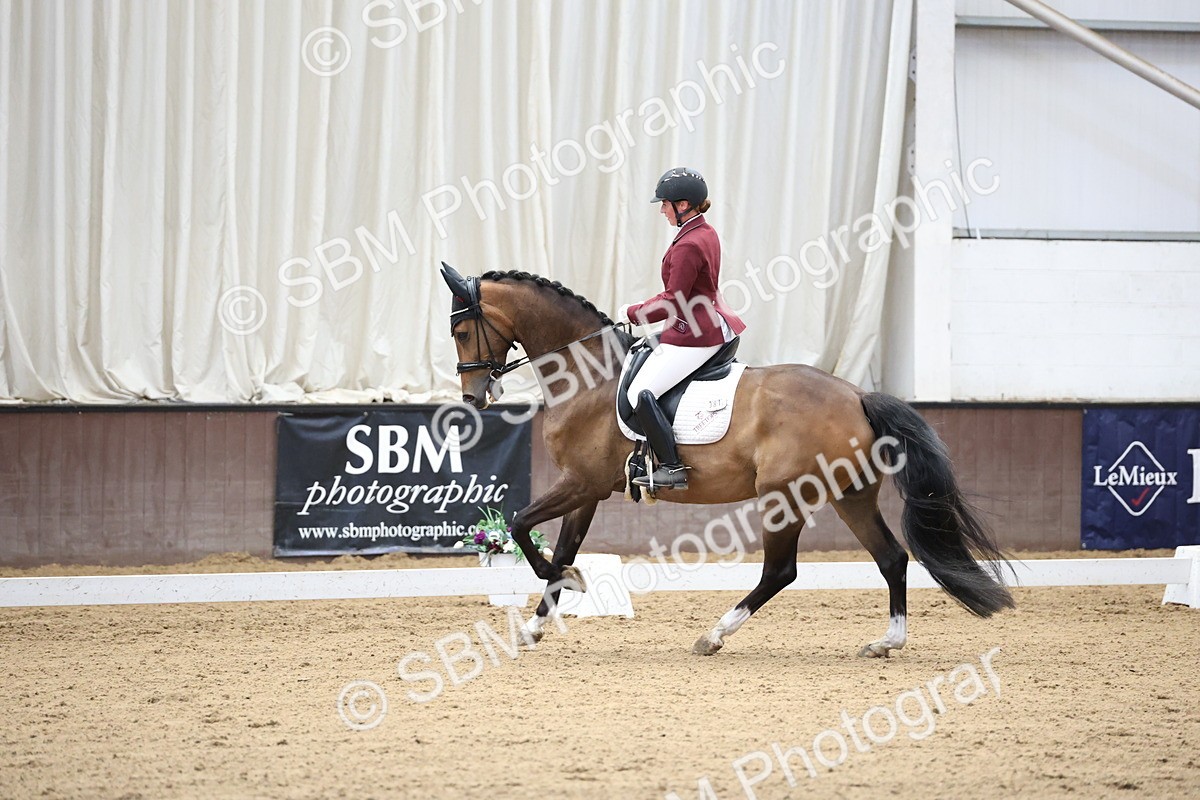 SBM_002169 - Class 5 - Novice 6 Gold - 9.00-10.10