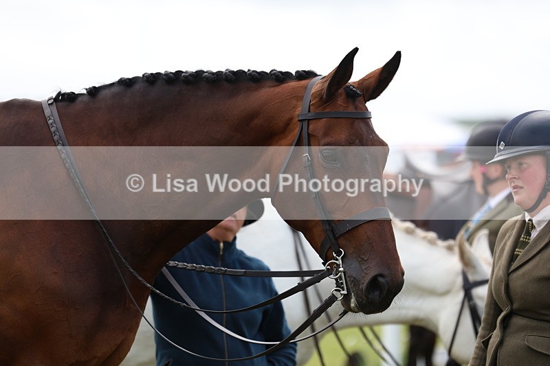 3E7A1571 - Class 9: Open Hunter