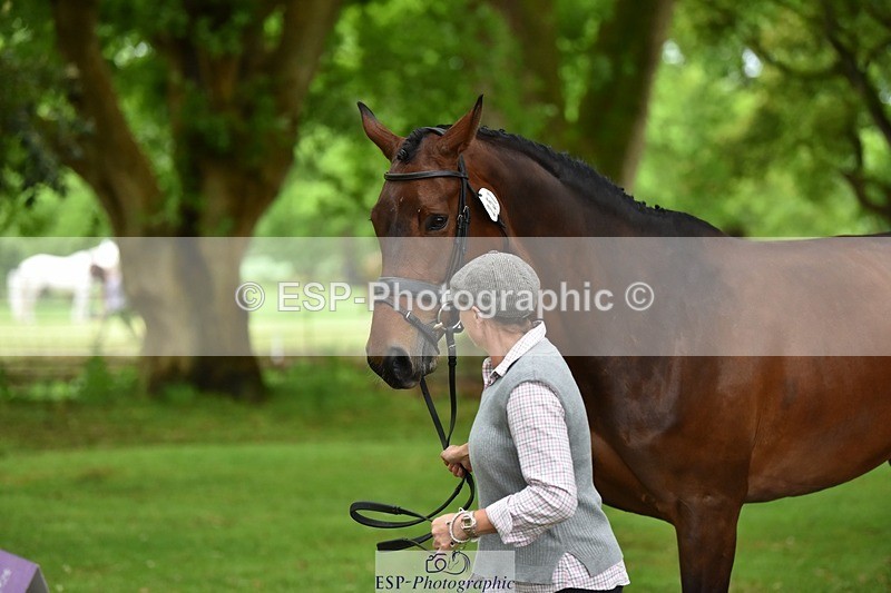 240522-171616-01495 - 257-COUGAR_MAIL-Jeanette_Brakewell