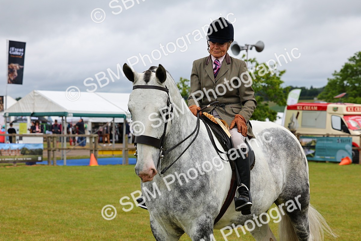 SBM_02562 - Class 9-11 Side Saddle including LIHS Rising Star Ladies Show Horse