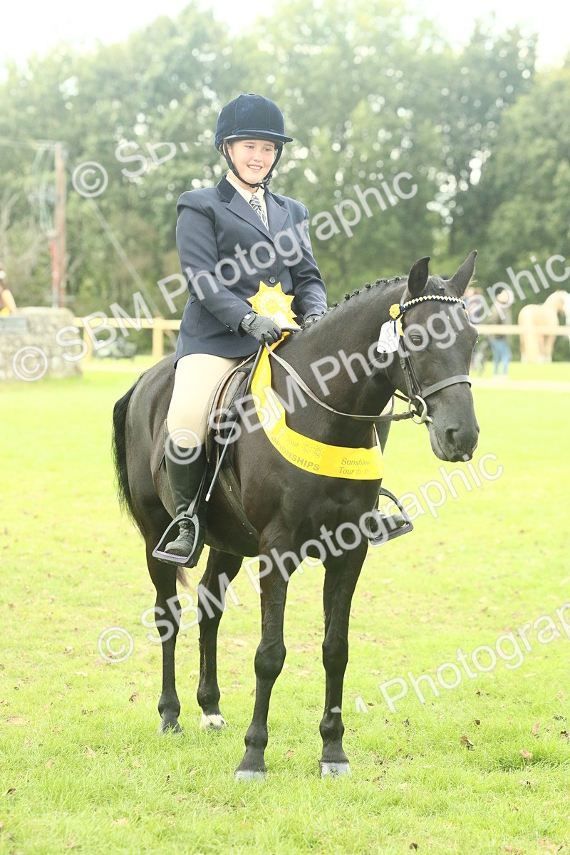 SBM_74142 - S 61 - Show Pony & Show Hunter Pony Ridden