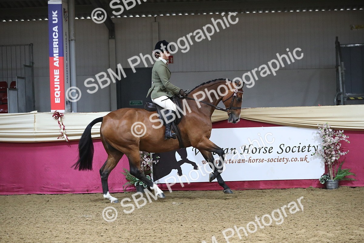 SBM_10395 - Class 102 Equitation (best rider) Adult