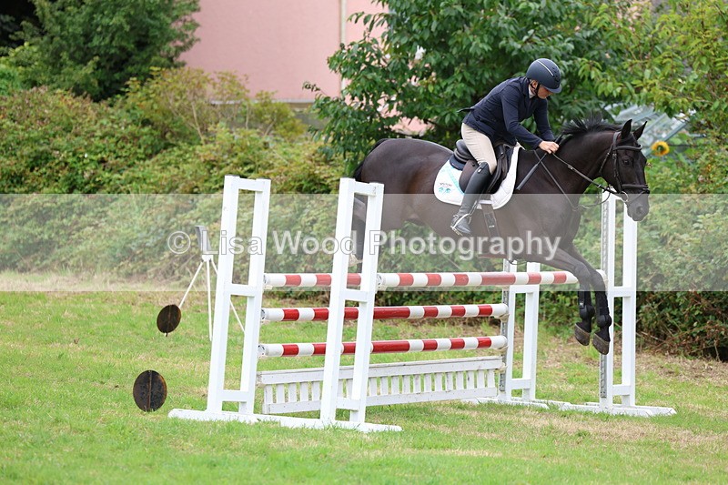 3E7A8418 - Class 8: Senior Foxhunter/1.20m open
