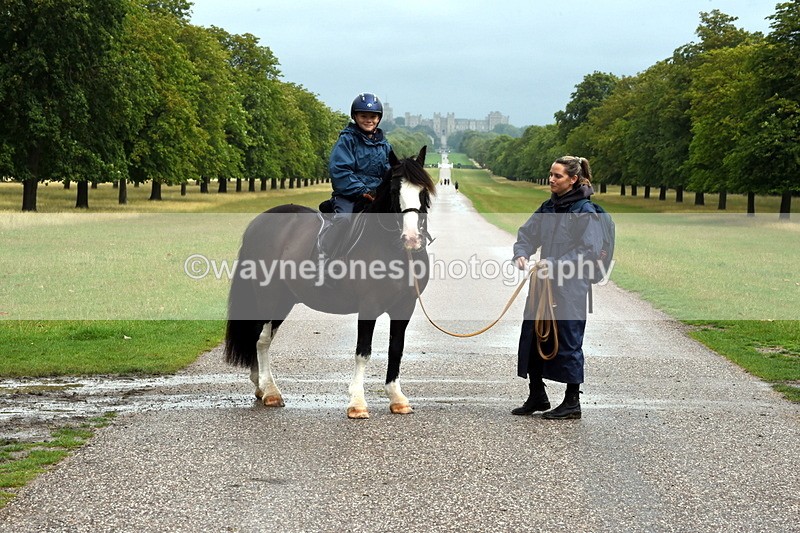 TT3_8231 - Time at Crossing 10:16 to 11:38