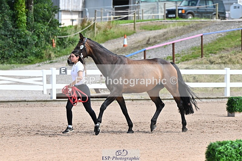 240718A-105250-01229 - Trot Up 12pm to 1pm