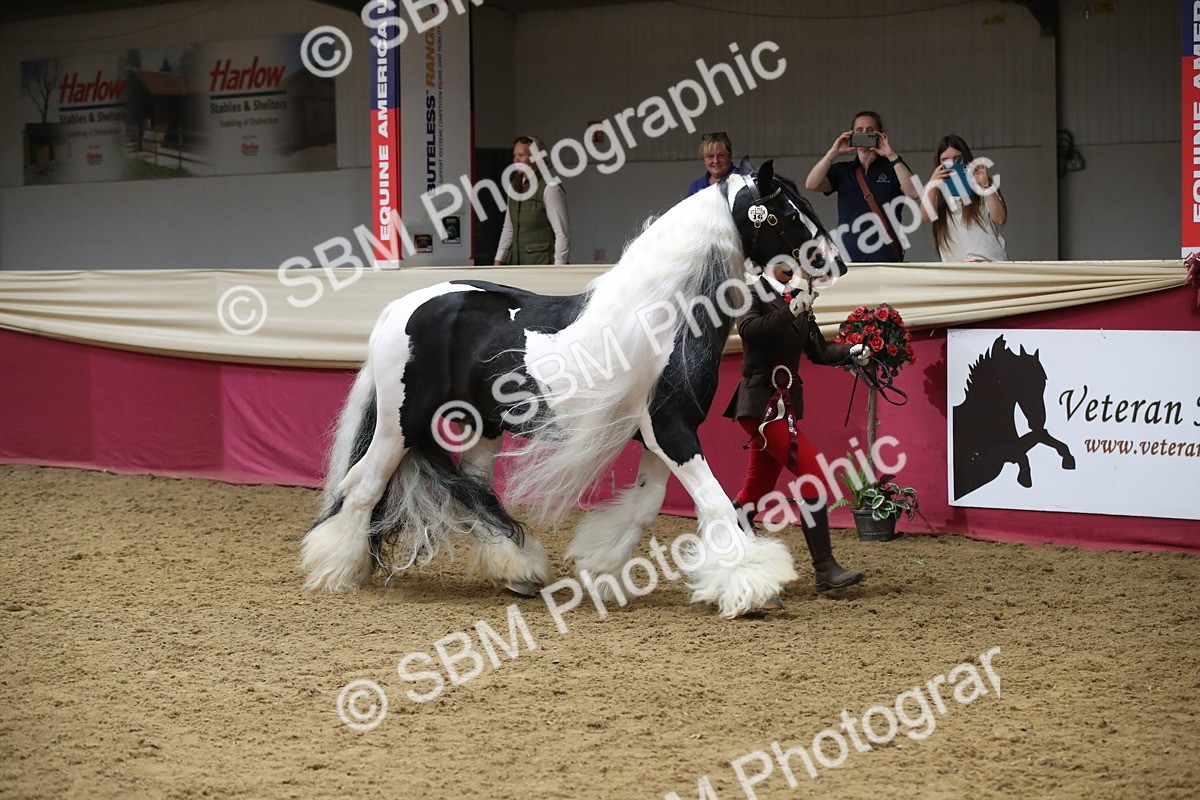 SBM_05836 - Class 9R - Regional IH Pre-Vet