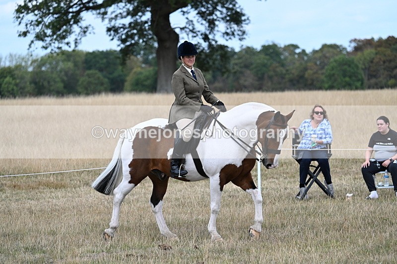 WJ7_5398 - Class 12 Ridden Cob