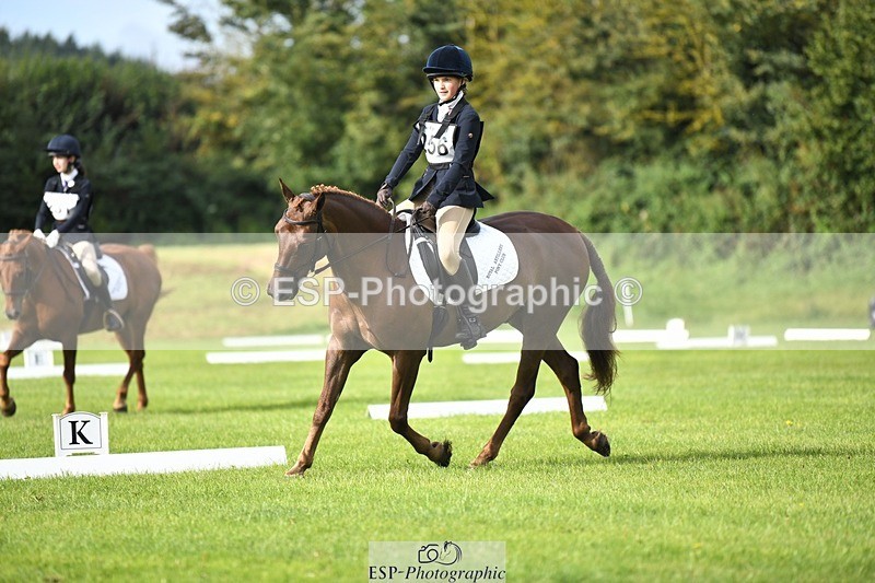 230826-094101-15196 - Sections C & D 9 to 10am