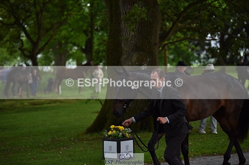 240522-151304-00173 - 316-LB_METTAPHOR-Tom_Rowland