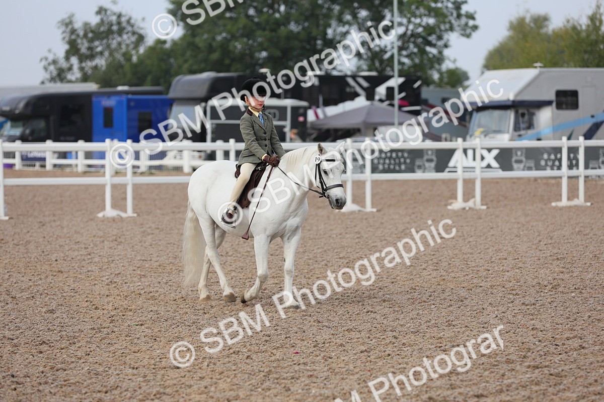 SBM_09607 - Class 301 Ridden M&M -Small Breeds