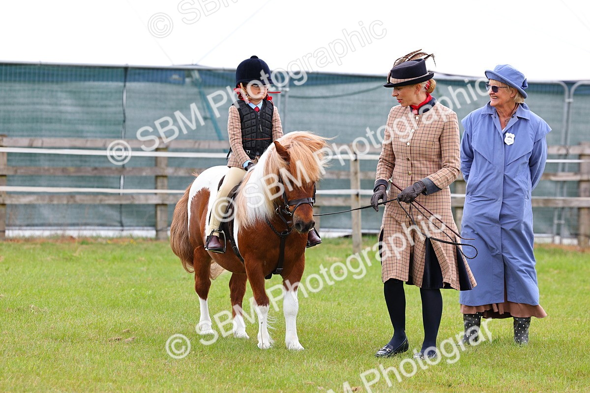 SBM_08221 - Class 42-43 - LIHS BSPS Heritage Working Sports Pony