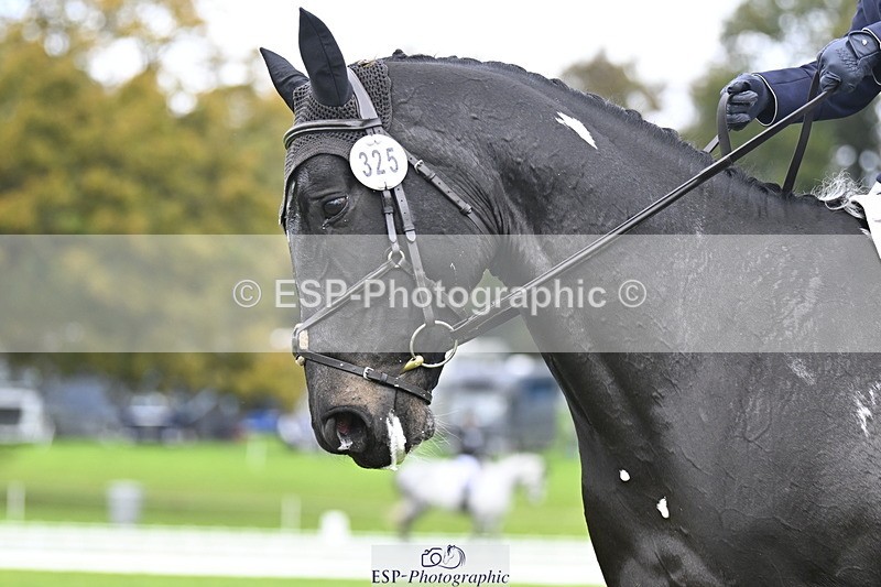 251023A-134624-04157 - D-325-Erin.Johnson