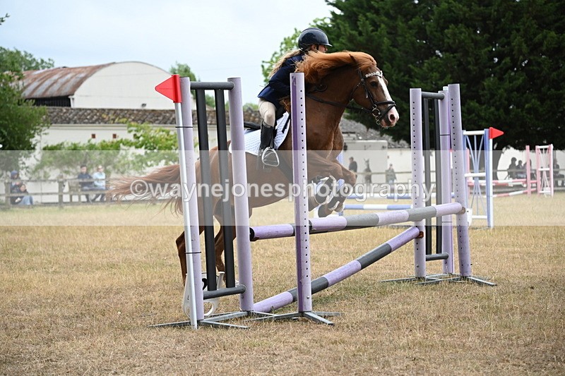 WJ6_0603 - Class 14 Intermediate Jumping 75cm