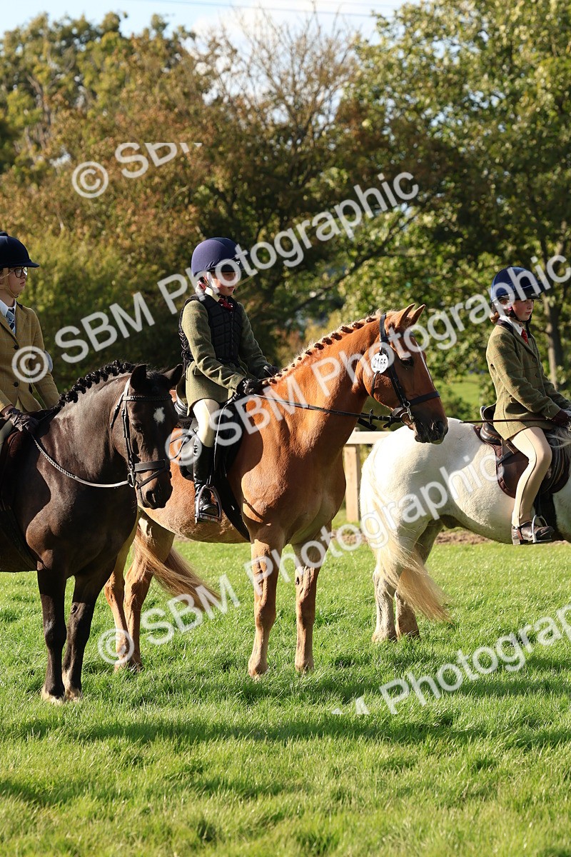 SBM_52618 - S13 - Pony Club Pony