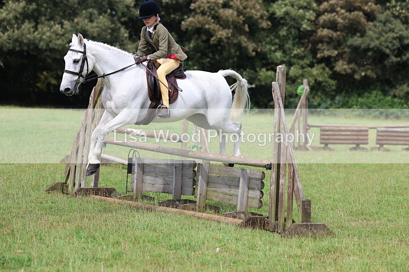 3E7A5801 - Class 26 and 27: 70cm Working Hunter