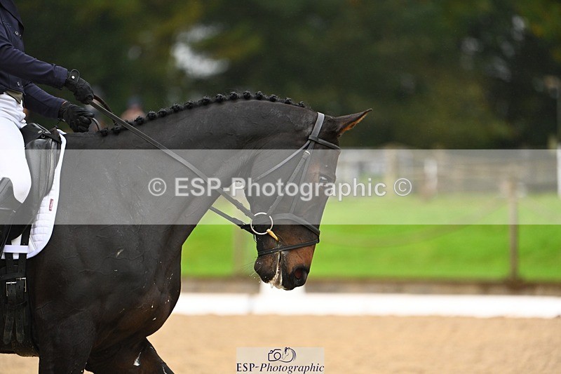 231021-105812-14754 - 334-BALLINAMEEN.BOYLE-Georgie.Selley-DR