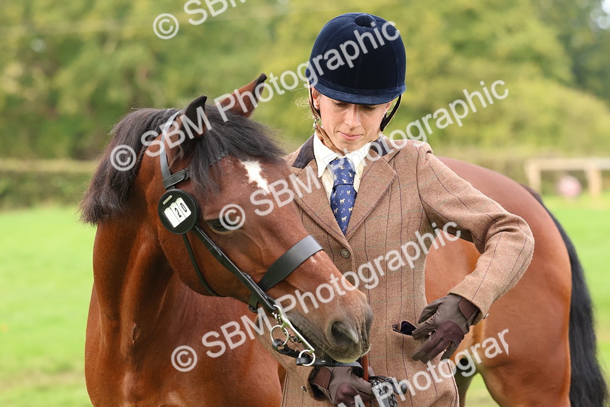 SBM_40756 - S25 -  Veteran In Hand