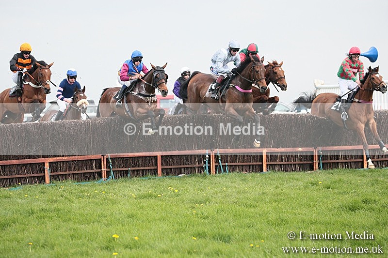 PtP 210418 333 - South & West Wilts Point-to-Point Larkhill 21/04/18