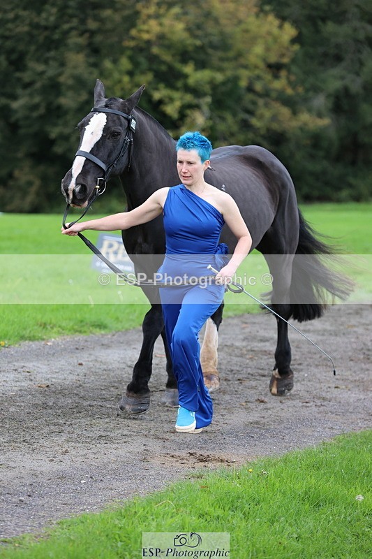 251026A-105720-23404 - F-410-Kt.English-Baillie