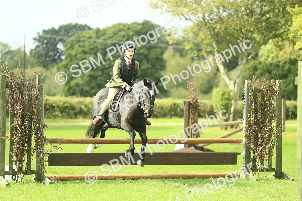 SBM_44744 - S31 - Working Hunter Pony