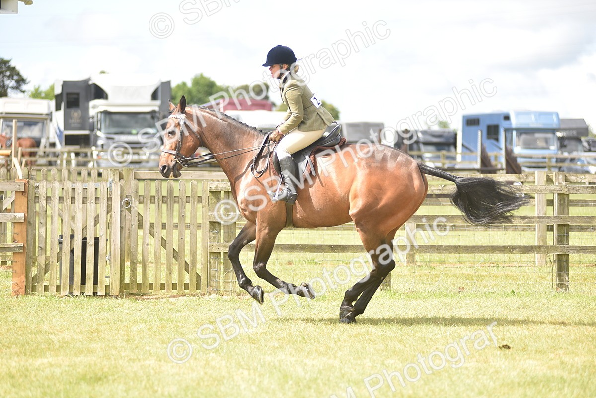 SBM_15091 - Class 113-114 - Retraining of Racehorses Ridden