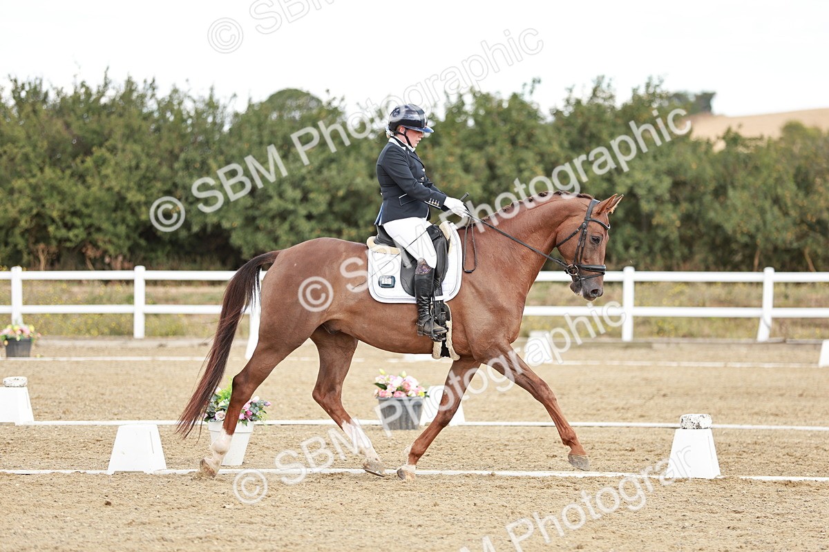 SBM_009439