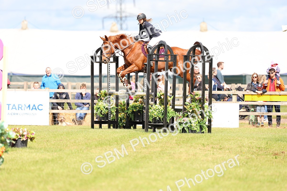 SBM_13405 - Class 206 - Senior Newcomers - 1.10m Open